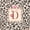 Brown D, variant on Catabedysis Brown Initial V Twin Sheets,Wild Leopard Print Bedding For Girls,3pcs,1 Fitted Sheet and 1 Pillowcase