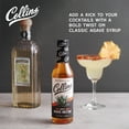 thumbnail image 3 of Collins Spicy Agave Nectar, Premium Cocktail Mixer for Margaritas and Palomas, Made with Real Agave, Cocktails and Mocktails, Home Bars, Party Essentials, Bartending Supplies, 12.7 oz, Set of 1, 3 of 6
