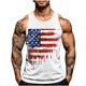thumbnail image 2 of Camiseta sin mangas de cuello redondo para hombre, con estampado del Día de la Independencia, cuello redondo, estilo informal, deportiva, para hombre, 2 of 5