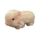 thumbnail image 4 of Juguete de cerdo de silicona para recién nacido, muñeco de cerdo, accesorio de fotografía, Mini cerdito realista hecho a mano, adorno de minicerdos, 4 of 8