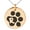 Rose, variant on Stainless Steel Letter R Initial Cat Dog Paws Monogram Engraved Small Medallion Circle Charm Pendant Necklace