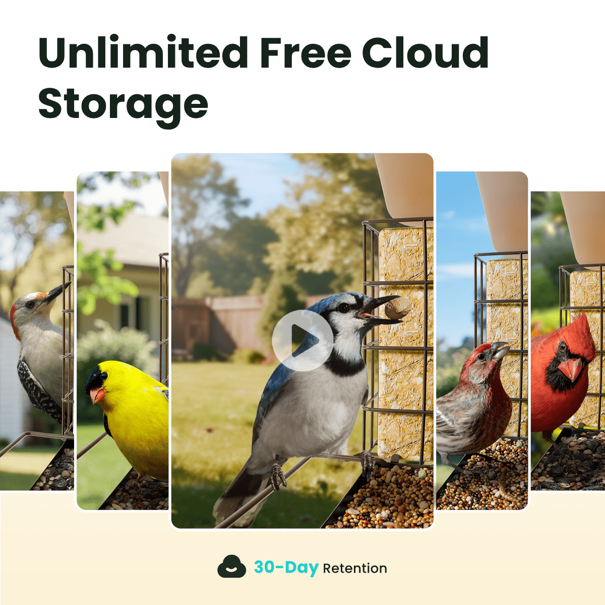 Birdfy Smart Bird Feeder with Camera, 1080P HD 60FPS Video, AI Bird Identification Lifetime Free, Night Vision, Metal Bird Feeder, Gift for Bird Lovers, Metal V AI