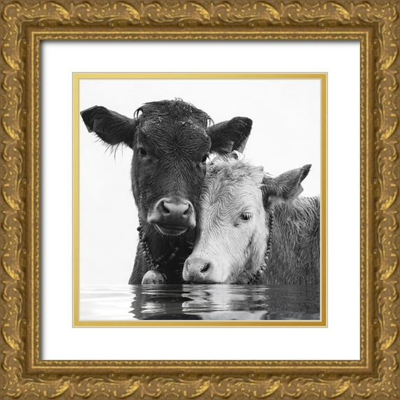 Sommers, Mindy 15x15 Gold Ornate Wood Framed with Double Matting Museum Art Print Titled - Sipping Pool