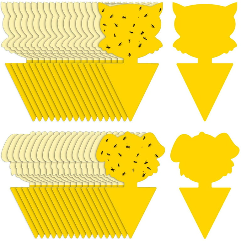 60 Pack Yellow Sticky Traps for Gnats Fruit Fly Traps for Indoors, Fungus  Gnat Traps for House Indoor Fly Paper Indoor for Gnats Killer Indoor Trap