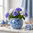 thumbnail image 4 of EFISPSS Hand-Patted Glaze Self Watering Ceramic Planter with Inner Clay Pot, 6 Inch Cobalt Blue African Violet Pots, Easy Care Indoor Plant Pot for Home Decor, 4 of 9