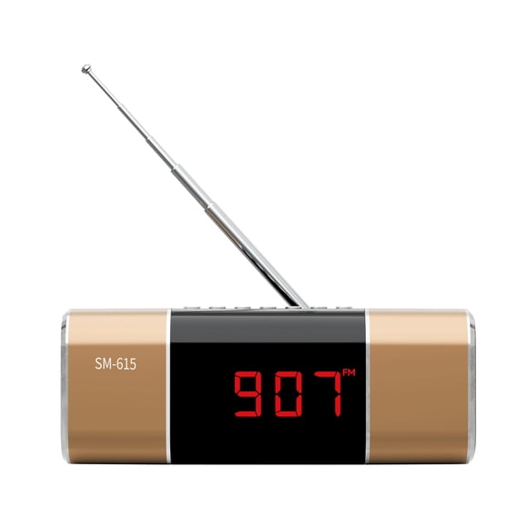 Radio FM con Bluetooth SEMIER, USB, Micro SD y MP3