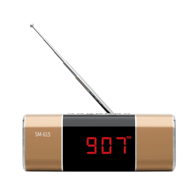 Radio FM con Bluetooth SEMIER, USB, Micro SD y MP3