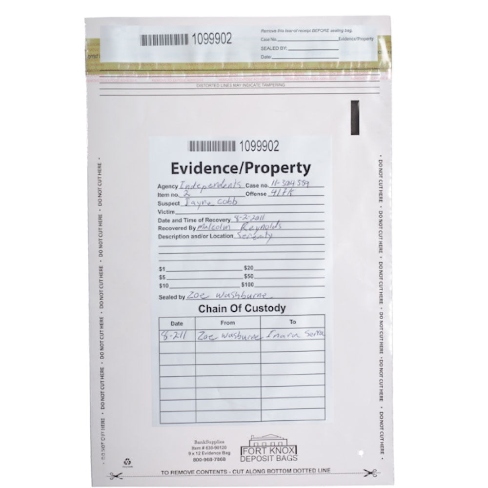 Box of 100 Bags 9 x 12 Clear Evidence Bag 