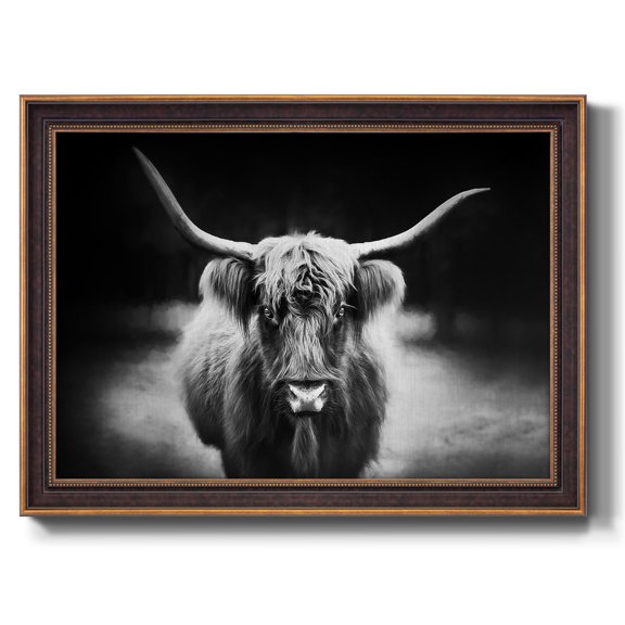 Photography Study Highland Cattle Premium Framed Canvas- Ready to Hang