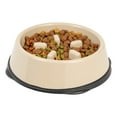 thumbnail image 4 of IRIS USA 4 Cup Slow Feeder Dog Bowl for Long Snouted Pets, Beige/Black, 4 of 5