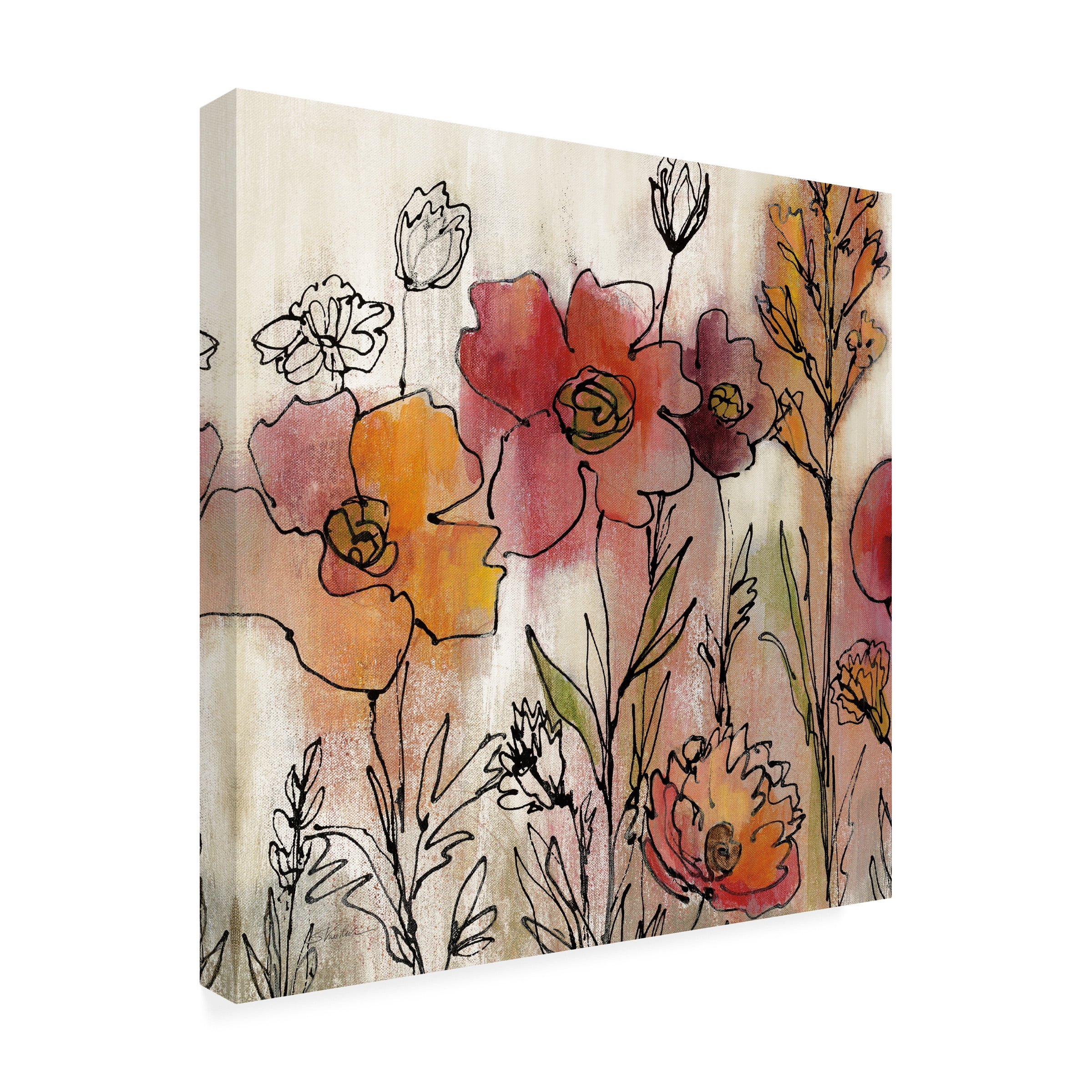 Trademark Fine Art 'Contemporary Botanical Cream II' Canvas Art by Silvia Vassileva