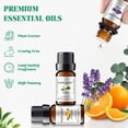 thumbnail image 3 of MAYJAM 6Pcs Pure Essential Oils Set for Candle Making, Diffuser Oil for Home Care, Soap Making, Fragrance, Humidifiers (10Ml), 3 of 9
