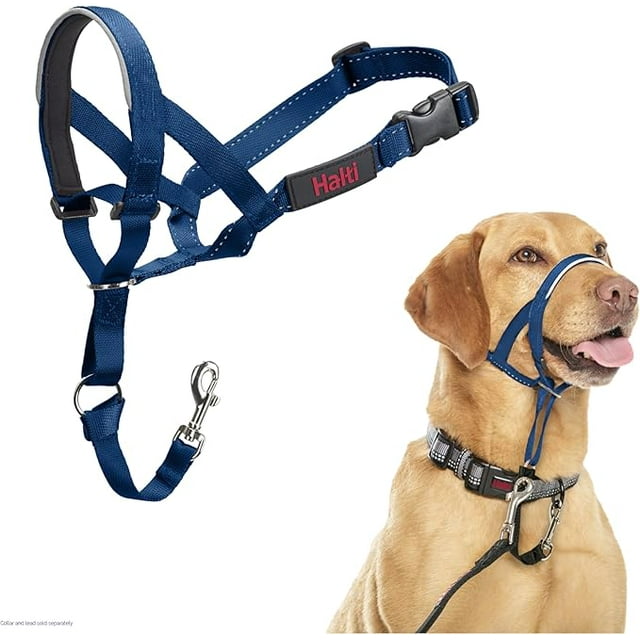HALTI Collier de Tête Bleu Cobalt Taille 3