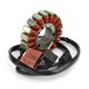 thumbnail image 1 of Generador de estator para Piaggio Scarabeo Fuoco Beverly MP3 400 500 07-15 58108R, 1 of 12
