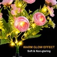 thumbnail image 2 of Rirool 2-Pack Pink Solar Peony Flower Garden Stake Lights, Warm White LED Outdoor Waterproof Decorative Lights with Auto On/Off for Yard Lawn Patio Pathway Walkway Flower Bed Decor, 2 of 8