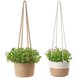 thumbnail image 2 of Macetas para decoración de pared, 2 cestas trenzadas para plantas, cesta trenzada para plantas, artesanía excepcional, 2 of 8