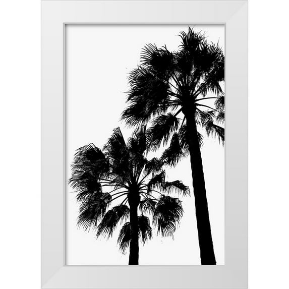 Artographie Studio 23x32 White Modern Wood Framed Museum Art Print Titled - Palm Contrast