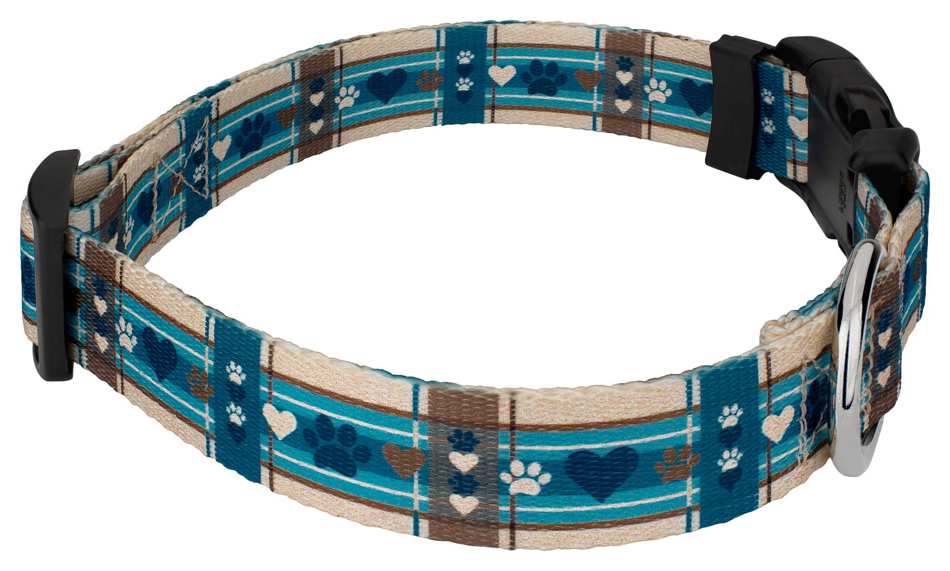Country Brook Petz® Puppy Picnic Everyday Dog Collar and Leash, Small