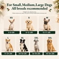 thumbnail image 5 of Kuoser Christmas Tree Pattern Dog Pajamas,Christmas Dog Soft Onesie for Small Medium Large Dogs, White, M, 5 of 7
