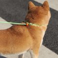 thumbnail image 2 of Heavy Duty Dog Leash, Adjustable Comfortable Traction Rope With Rotational Zinc Alloy Ring, Pet Training Strong Rope Leash For Large, Medium, Small Dogs, 2 of 9