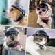 thumbnail image 4 of Juego de gafas para casco de perro, casco para mascotas, gafas de sol, ajustable, para motocicleta, sombrero de seguridad S, 4 of 5