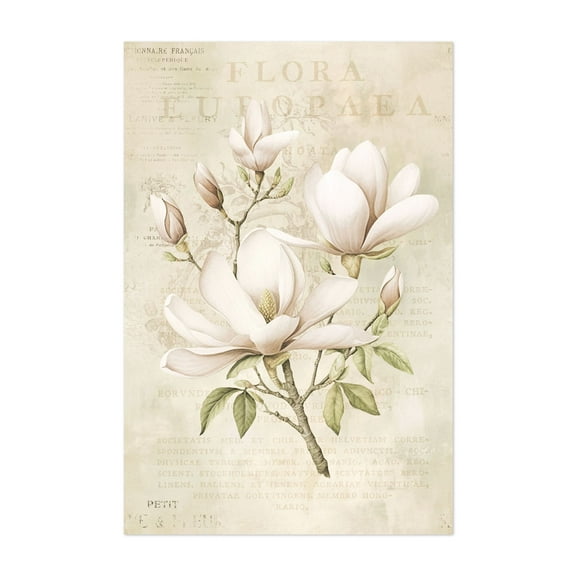 Magnolia Spring Romance Pastel Beige - Illustration Floral Vintage Botanical Flowers Nature Pastel Art Deco Unframed Wall Art Print 5 x 7 inches