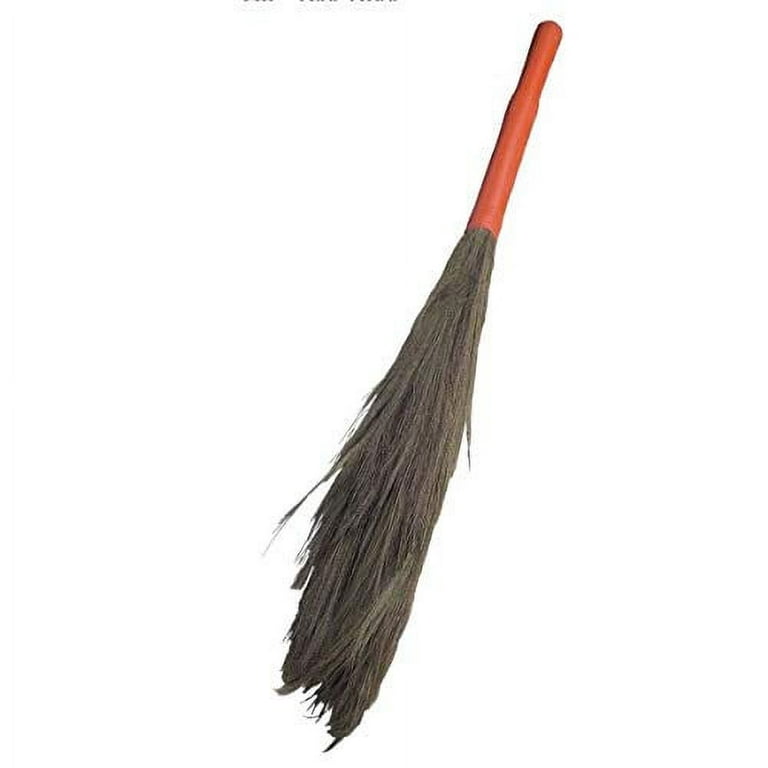 Gala Plastic Medium Floor Broom (Assorted Colors)