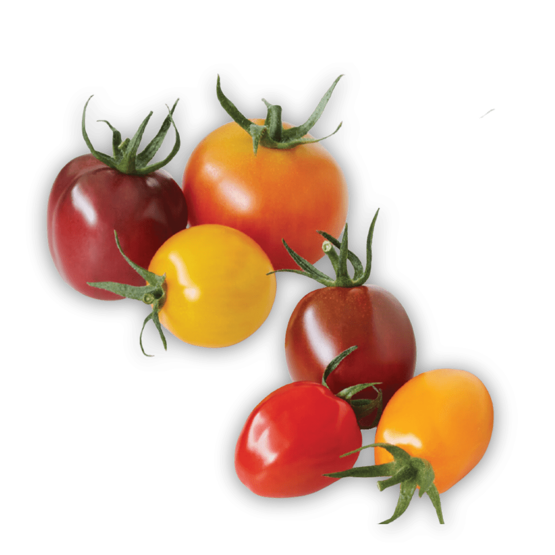 Fresh Medley Grape Tomato, 12 oz Package