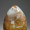 thumbnail image 4 of Polished Ocean Jasper from Madagascar (3.9 lbs), 4 of 5