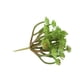 thumbnail image 4 of GOOHOCHY Plantas suculentas artificiales, suculentas falsas, púas para arreglos florales y decoración del hogar (verde), 4 of 8