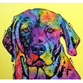 thumbnail image 2 of Dean Russo Collection 16x15 White Modern Wood Framed Museum Art Print Titled - Fixate Labrador, 2 of 4