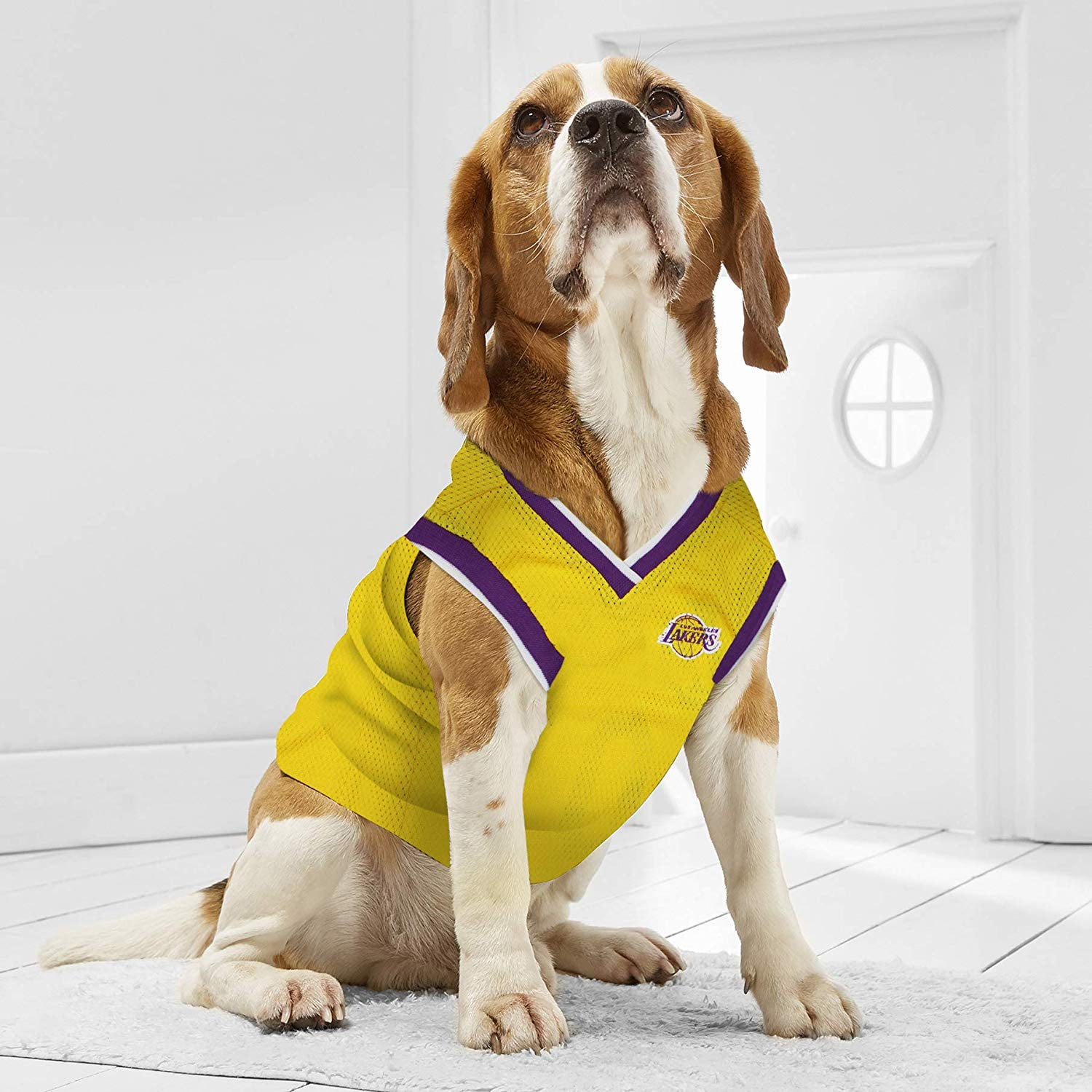 Pets First NBA La Lakers Mesh Basketball Jersey for DOGS & CATS - Licensed, Comfy Mesh, 21 Basketball Teams / 5 sizes