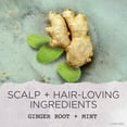 thumbnail image 5 of Rooted Rituals Ginger Root and Mint Quick-Rinse Scalp Scrub, 6.7 fl oz, 5 of 8
