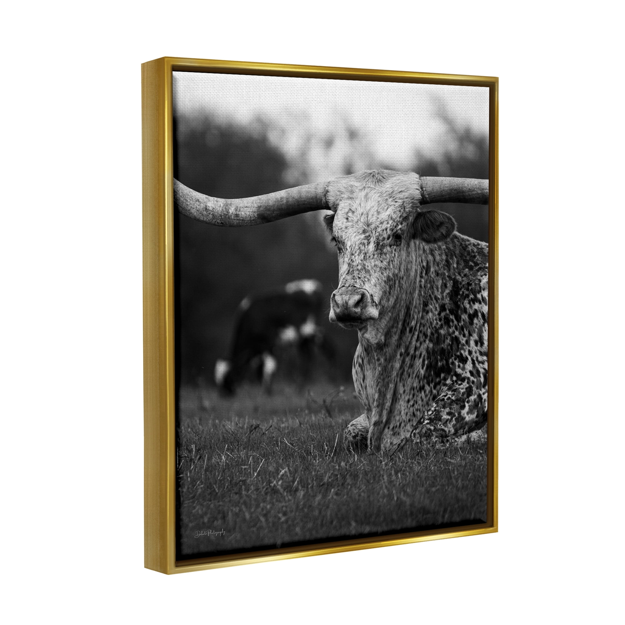 Stupell Industries Resting Longhorn Photography Animals & Insects Photography Gold Floater Framed Canvas Art Print Wall Art, 17 x 21