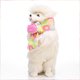 thumbnail image 4 of Bufanda para mascotas, accesorio festivo para perros/gatos, bufanda para mascotas de vacaciones, accesorio lindo y divertido para mascotas de invierno, 4 of 6