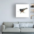 thumbnail image 3 of Bruce Dean 'Songbird Study IV' Canvas Art, 3 of 3