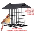 thumbnail image 3 of Durable Roof Top Bird Parrot Suet Reusable Feeder for Outside Garden Yard Patio Hanging Metal Suet Cake Holder Squirrel Proof Weatherproof for Wild Hummingbird Woodpecker Single Suet Cage, 3 of 12