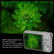 thumbnail image 4 of Cámarae Digital, Cámaras 4K para Fotograma, Cámara Compacta Con Zoom Digital 8x, Pantalla Grande de 2,7 ", Cámara Vlogging 4K Para Tomar Fotografía Apartpo Continuo, 4 of 7