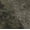 TREE CAMO, variant on Boys Fleece Jogger Pants, Sizes 4-18