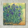 thumbnail image 5 of Epic Art 'Irises in Bloom II' by Tim O'Toole, Acrylic Glass Wall Art, 12"x12", 5 of 7