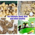 thumbnail image 4 of Bandeja incubadora de huevos de 8/22 orificios de 41 cm para codornices de pollo y otras aves Suministros de accesorios para incubar Piezas de repuest 22 huevo, 4 of 5