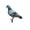 B, variant on pdqouc Acrylic Pigeons Outdoor Garden Ground Decoration Garden Garden Double Sided Decoration Board for Outdoor Lawn, Yard, and Patio Decoration 9 x 11 Inch