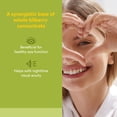 thumbnail image 4 of Natural Factors HerbalFactors Bilberry, Nutritional Support for Vision, 60 Capsules, 4 of 7