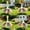 Multicolor 1, variant on AuroraX 23 inch Porch Goose Outfit Sets Porch Goose Clothes Set 23" 17 19 inch Birthday Princess Tutu Skirts Front Porch Goose Clothes Lawn Garden Decor
