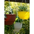thumbnail image 3 of Cesta colgante de plástico para macetas con autorriego de color amarillo, 3 of 8