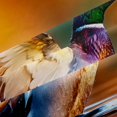 thumbnail image 5 of Manfei Aquatic Bird Pattern Blackout Curtains,Farmhouse Waterfowl Curtains Pack of 2 (42x84 Each), 5 of 6