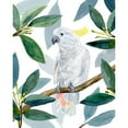 thumbnail image 3 of Warren, Annie 15x18 Black Modern Framed Museum Art Print Titled - Cockatoo Perch II, 3 of 5