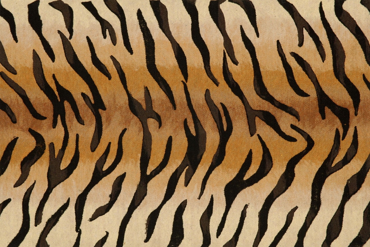 Liora Manne Visions III Tiger Indoor OutDoormat Brown 20"X29.5" by Trans-Ocean Import Co., Inc.
