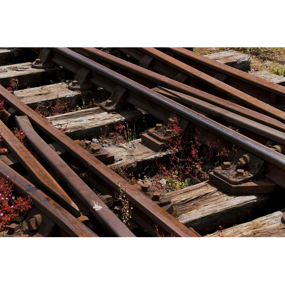 Framed Art For Your Wall Lines Rail Railroad Track Railway
