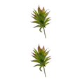 thumbnail image 4 of Suculentas artificiales Cateissary MM215 Verde 2piezas respetuosas con la piel, 4 of 6